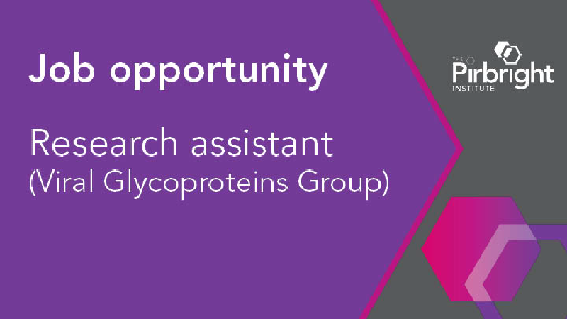presentation assistant virus presentation assistant virus