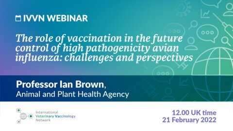 Flyer: IVVN Webinar. The role of vaccination in the future control of high pathogenicity avian influenza: challenges and perspectives. Professor Ian Brown, Animal and Plant Health Agency.