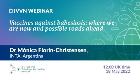 IVVN Webinar: Vaccines against babesiosis: where we are now and possible roads ahead