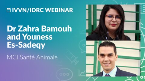 IVVN/IDRC webinar: Dr Zahra Bamouh and Youness Es-Sadeqy, MCI Santé Animale, Morocco