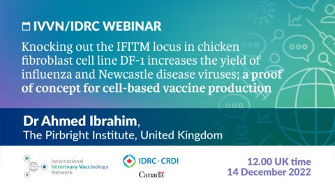 IVVN and IDRC webinar