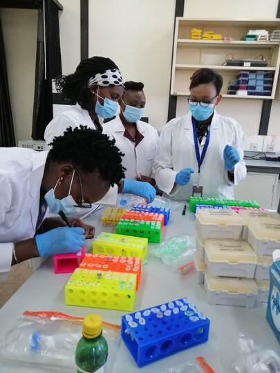 Four members of the IVVN outreach team preparing test tubes in a lab