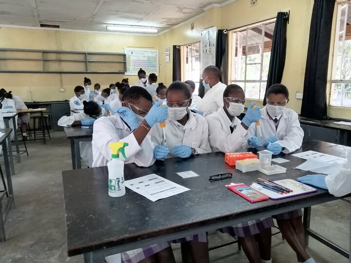 Students working in pairs and using micro pipettes