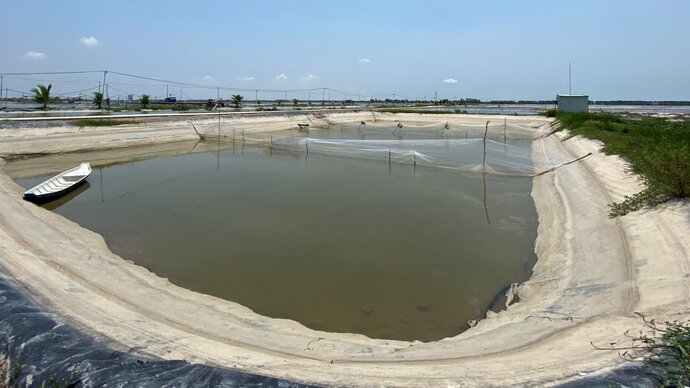 Pangasius pond in Vietnam