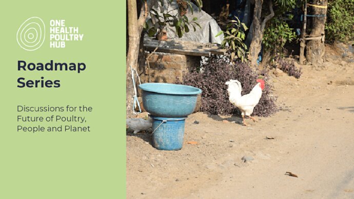 One Health Poultry Hub Roadmap Series: discussions for the future of poultry, people and the planet