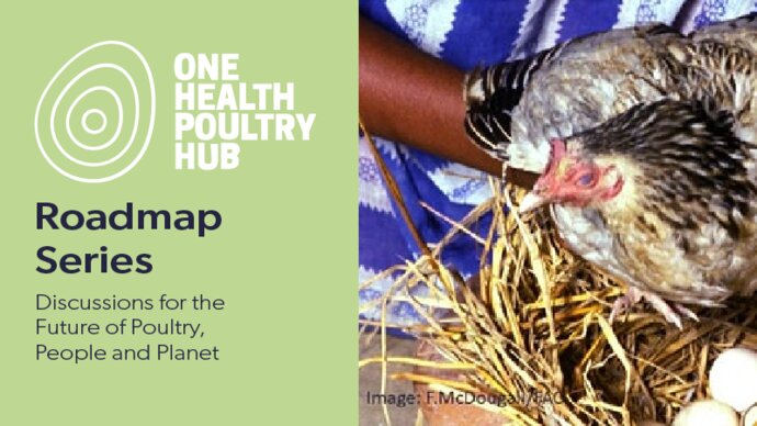 One Health Poultry Hub Roadmap Series: discussions for the future of poultry, people and the planet