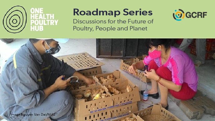 One Health Poultry Hub Roadmap Series: discussions for the future of poultry, people and the planet