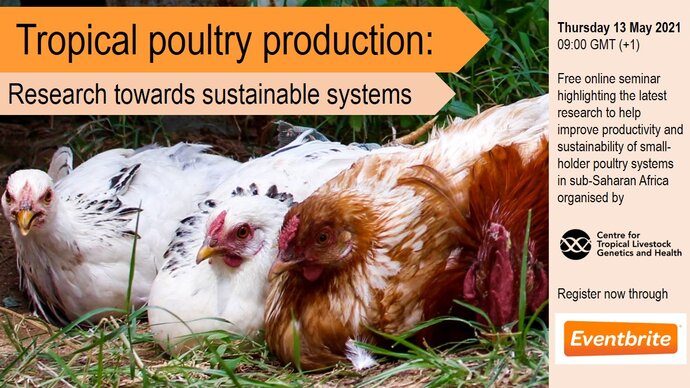 Tropical poultry production