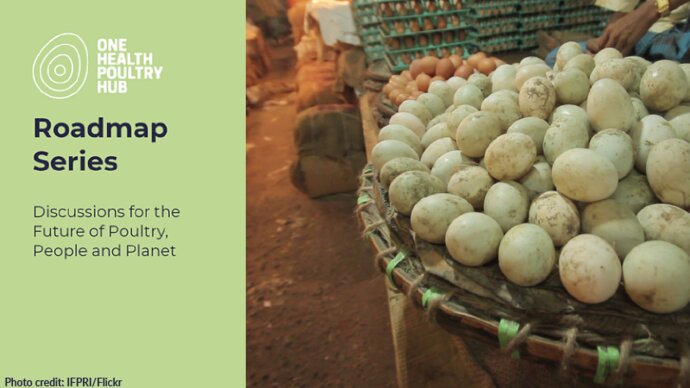 Eggs for sale at a marketplace. Graphic: One Health Poultry Hub Roadmap Series