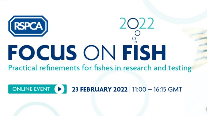 RSPCA. Focus on Fish. Practical refinements for fishes in research and testing
