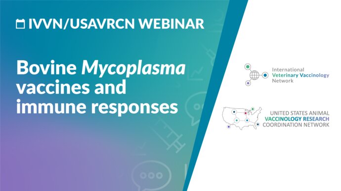 IVVN/USAVRCN Webinar: Bovine Mycoplasma vaccines and immune responses.