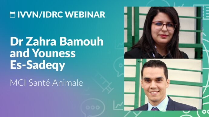 IVVN/IDRC webinar: Dr Zahra Bamouh and Youness Es-Sadeqy, MCI Santé Animale, Morocco