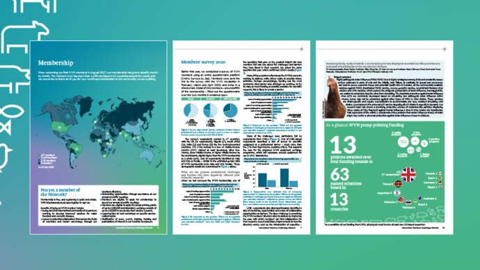 Pages from the IVVN Annual Report