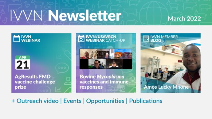 IVVN Newsletter March 2022: Webinar on the AgResults foot-and-mouth disease vaccine challenge prize. Catch up with the recording of our joint webinar with the US vaccine network USAVRCN. And read a blog from one of our members, Amos Lucky Mhone.