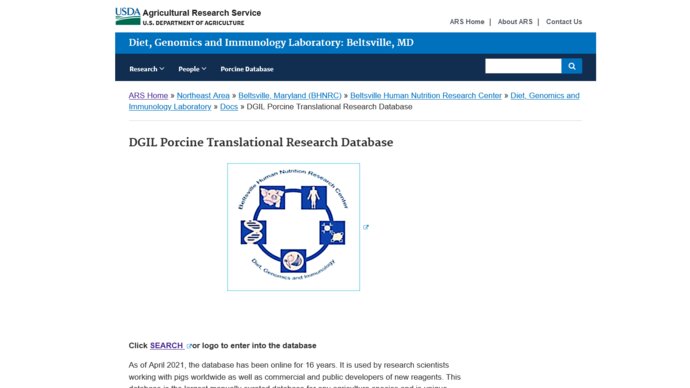 Screenshot of the DGIL Porcine Translational Research Database information page