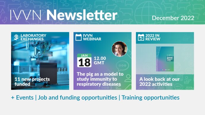 IVVN Newsletter December 2022. 11 new projects funded; Webinar on the pig as a model to study respiratory diseases; take a look back at our activities in 2022.