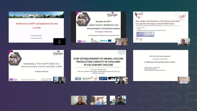 Seven speakers presented talks at the symposium, with presentations covering African swine fever, porcine circovirus type II, Nipah virus and <i>Taenia solium</i>. Screenshots of six presentations shown at the symposium