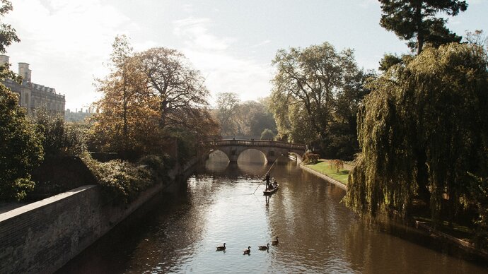 Photo by Devin Kleu on Unsplash