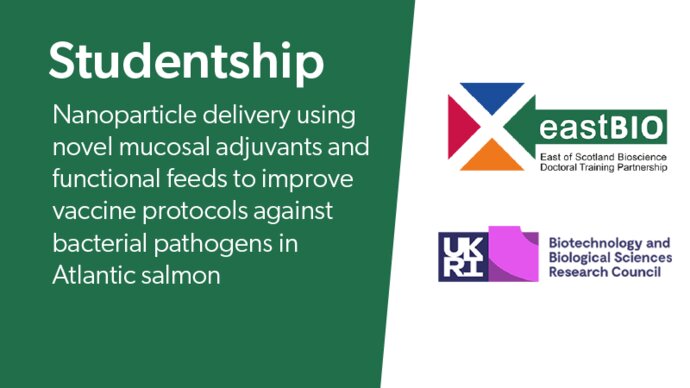 Studentship: Nanoparticle delivery using novel mucosal adjuvants and functional feeds to improve vaccine protocols against bacterial pathogens in Atlantic salmon