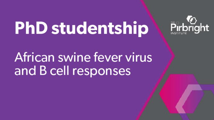 PhD studentship at The Pirbright Institute