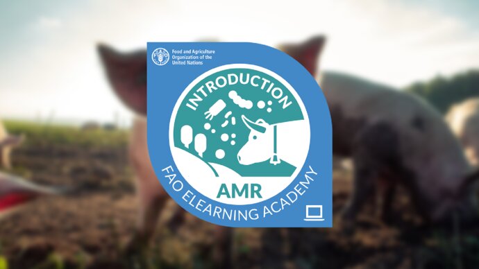 FAO certified course: introduction to AMR