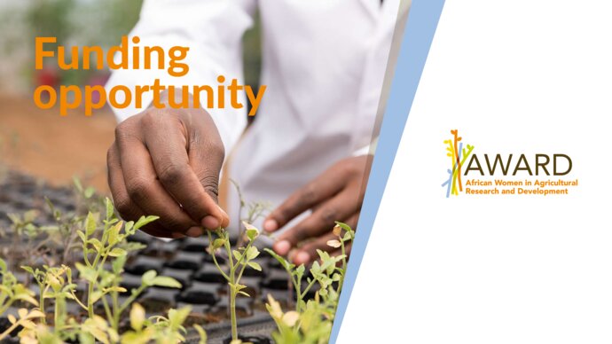 Funding opportunity, AWARD - African Women in Agricultural Research and Development