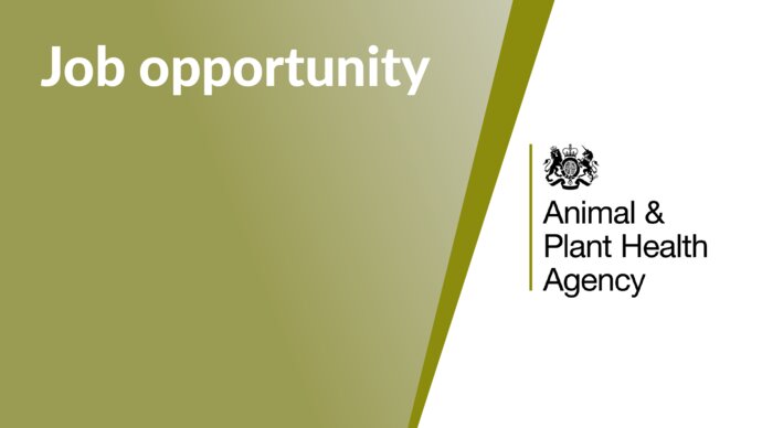 Job opportunity at the Animal and Plant Health Agency