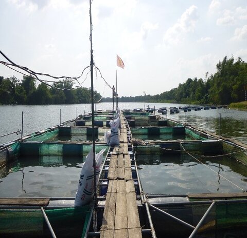 Figure 2. Trip to tilapia farms on day three of the workshop.
