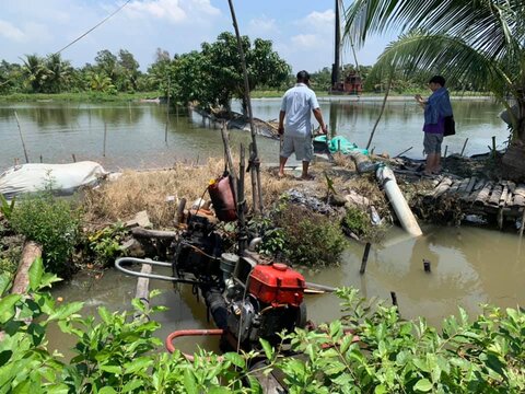 Tilapia farm