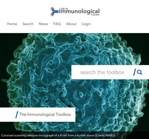 The UK Immunological Toolbox website allows researchers to search using molecule name, species name or specific antibody name.