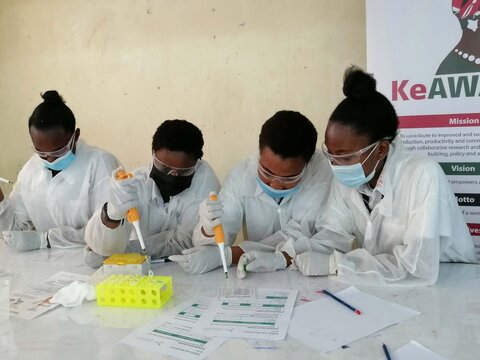 Four girls using pipettes