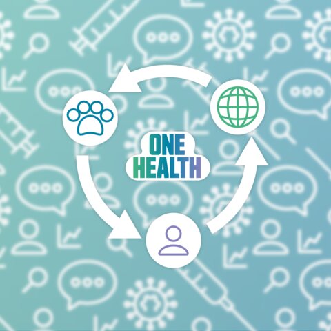 One Health showing arrows between icons for humans, animals and the planet