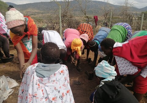 The pastoral women planting vegetables and potting tree seedlings bags as part of the capacity-building activity.