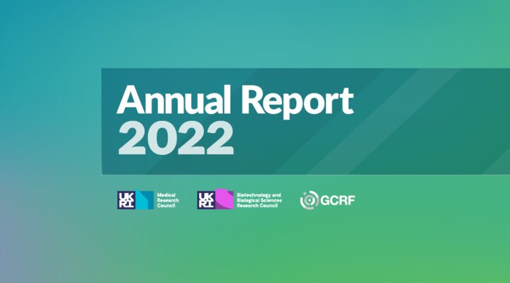 Annual Report 2022