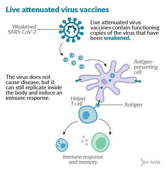 China S Covid 19 Vaccine Bbibp Corv Based On Inactivated Whole Sars Cov 2 Virus Shows To Be A Safe Promising Candidate For Short Term Protection Thailand Medical News